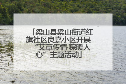 梁山县梁山街道红旗社区良嘉小区开展“艾草传情·粽暖人心”主题活动