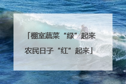 棚室蔬菜“绿”起来 农民日子“红”起来