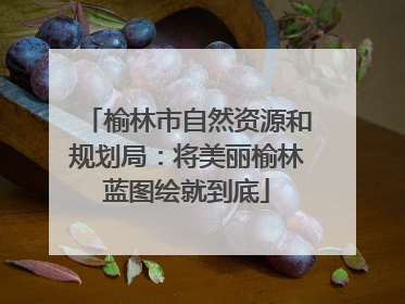 榆林市自然资源和规划局：将美丽榆林蓝图绘就到底