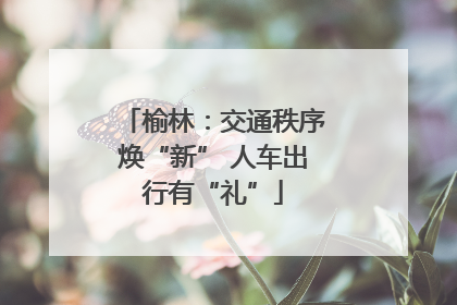 榆林：交通秩序焕“新” 人车出行有“礼”