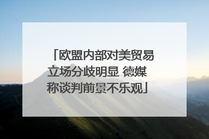 欧盟内部对美贸易立场分歧明显 德媒称谈判前景不乐观