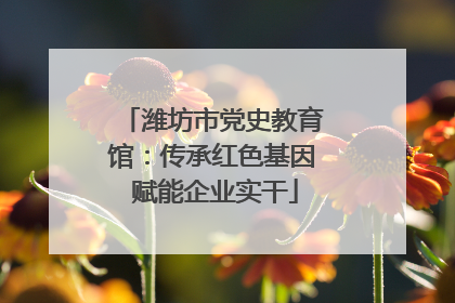 潍坊市党史教育馆：传承红色基因 赋能企业实干