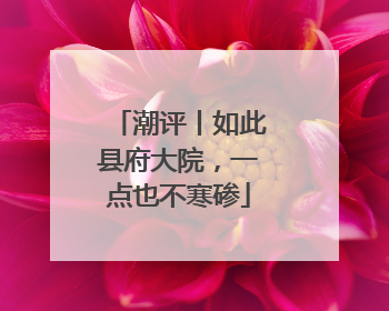 潮评丨如此县府大院，一点也不寒碜