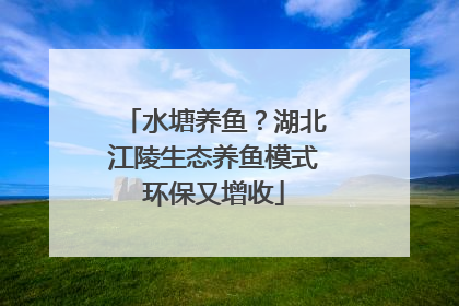 水塘养鱼？湖北江陵生态养鱼模式环保又增收