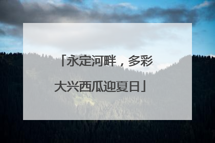 永定河畔，多彩大兴西瓜迎夏日