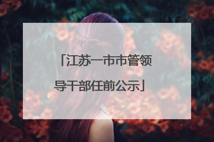 江苏一市市管领导干部任前公示