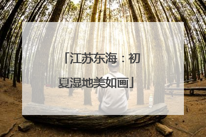 江苏东海：初夏湿地美如画