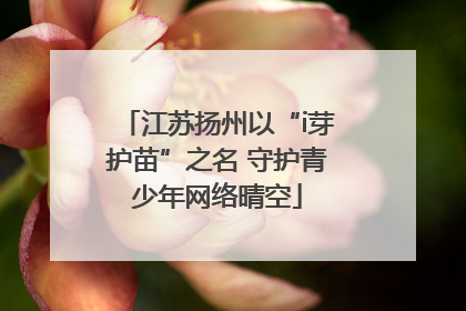 江苏扬州以“i芽护苗”之名 守护青少年网络晴空