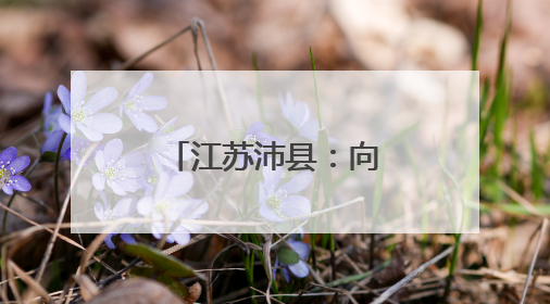 江苏沛县：向“智”求新“煤城”焕新机