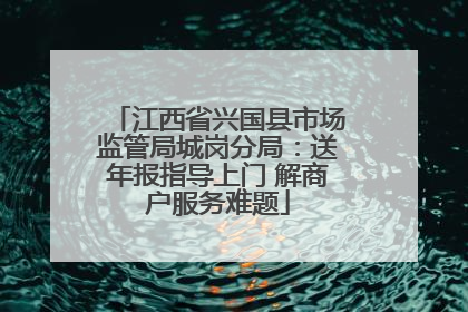 江西省兴国县市场监管局城岗分局：送年报指导上门 解商户服务难题