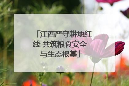 江西严守耕地红线 共筑粮食安全与生态根基