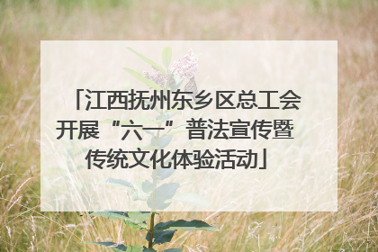 江西抚州东乡区总工会开展“六一”普法宣传暨传统文化体验活动