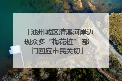 池州城区清溪河岸边现众多“梅花桩” 部门回应市民关切