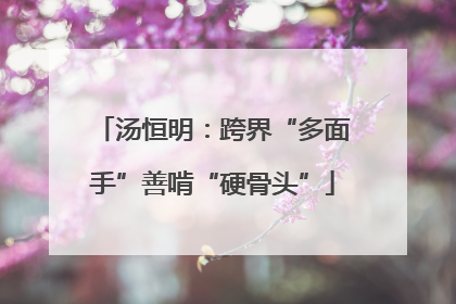汤恒明：跨界“多面手”善啃“硬骨头”