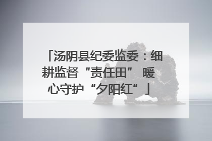 汤阴县纪委监委：细耕监督“责任田” 暖心守护“夕阳红”