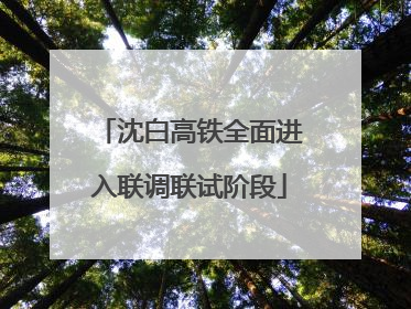 沈白高铁全面进入联调联试阶段