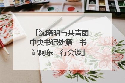 沈晓明与共青团中央书记处第一书记阿东一行会谈