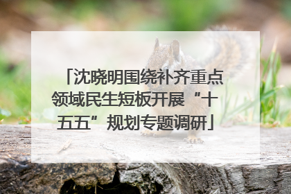 沈晓明围绕补齐重点领域民生短板开展“十五五”规划专题调研