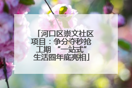 河口区崇文社区项目：争分夺秒抢工期 “一站式”生活圈年底亮相