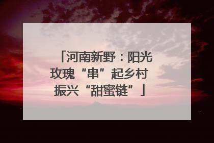 河南新野：阳光玫瑰“串”起乡村振兴“甜蜜链”