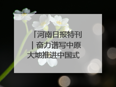 河南日报特刊｜奋力谱写中原大地推进中国式现代化新篇章
