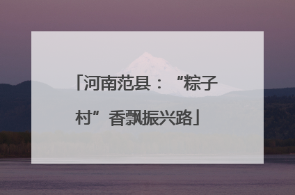 河南范县：“粽子村”香飘振兴路