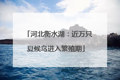 河北衡水湖：近万只夏候鸟进入繁殖期