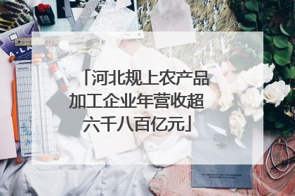 河北规上农产品加工企业年营收超六千八百亿元