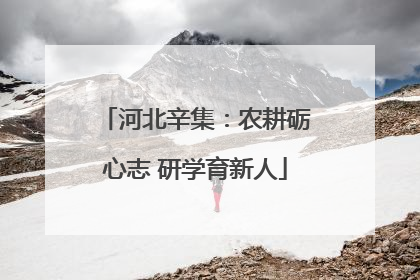 河北辛集：农耕砺心志 研学育新人
