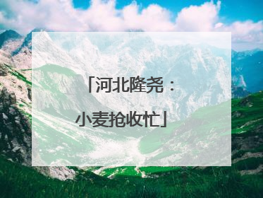 河北隆尧：小麦抢收忙