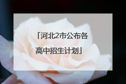 河北2市公布各高中招生计划