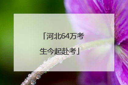 河北64万考生今起赴考