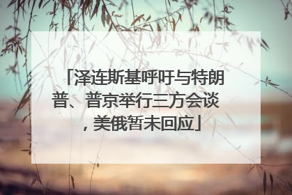 泽连斯基呼吁与特朗普、普京举行三方会谈，美俄暂未回应