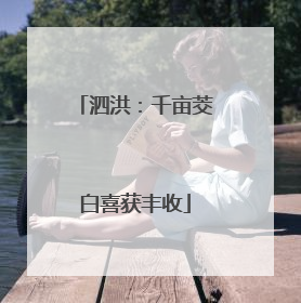 泗洪：千亩茭白喜获丰收