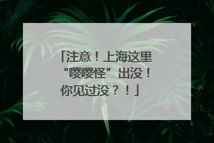 注意！上海这里“嘤嘤怪”出没！你见过没？！