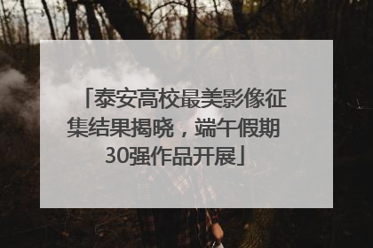 泰安高校最美影像征集结果揭晓，端午假期30强作品开展