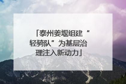 泰州姜堰组建“轻骑队”为基层治理注入新动力