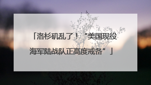 洛杉矶乱了！“美国现役海军陆战队正高度戒备”