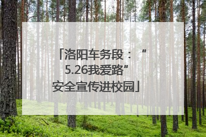 洛阳车务段：“5.26我爱路”安全宣传进校园
