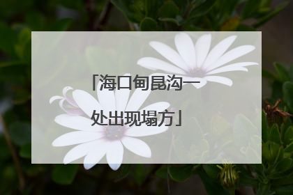海口甸昆沟一处出现塌方