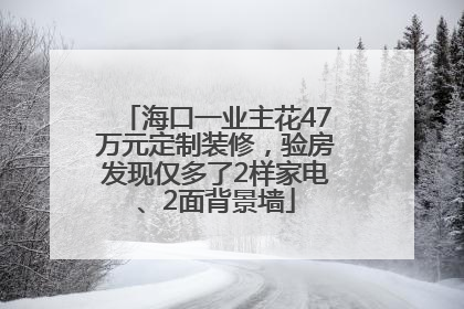 海口一业主花47万元定制装修，验房发现仅多了2样家电、2面背景墙
