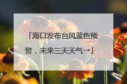海口发布台风蓝色预警，未来三天天气→