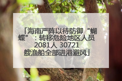 海南严阵以待防御“蝴蝶”：转移危险地区人员2081人 30721艘渔船全部进港避风