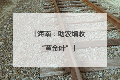 海南：助农增收 “黄金叶”
