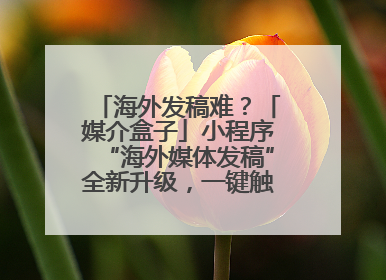 海外发稿难？「媒介盒子」小程序“海外媒体发稿”全新升级，一键触达全球！