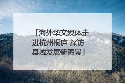 海外华文媒体走进杭州桐庐 探访县域发展新图景