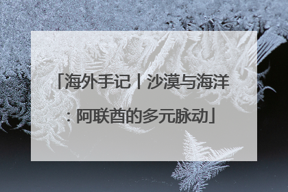 海外手记丨沙漠与海洋：阿联酋的多元脉动