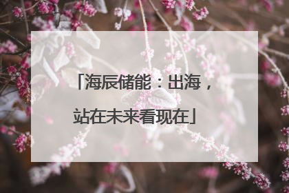 海辰储能：出海，站在未来看现在
