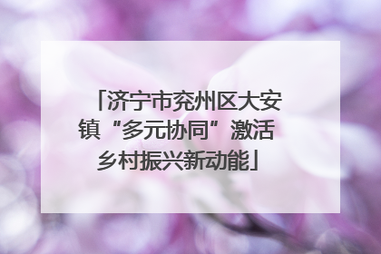 济宁市兖州区大安镇“多元协同”激活乡村振兴新动能