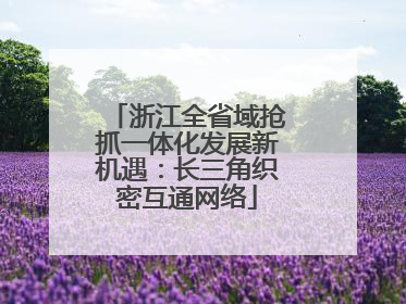 浙江全省域抢抓一体化发展新机遇：长三角织密互通网络